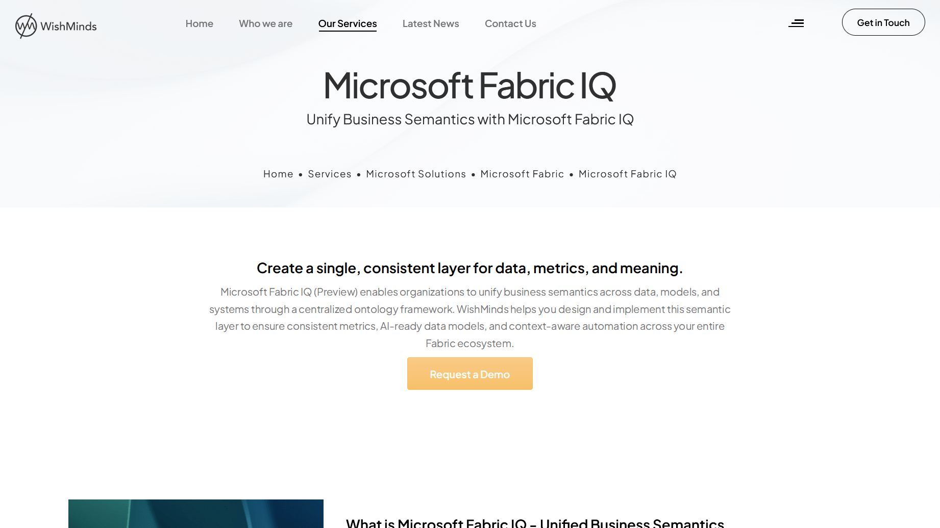 Microsoft Fabric IQ Assessment Services | WishMinds